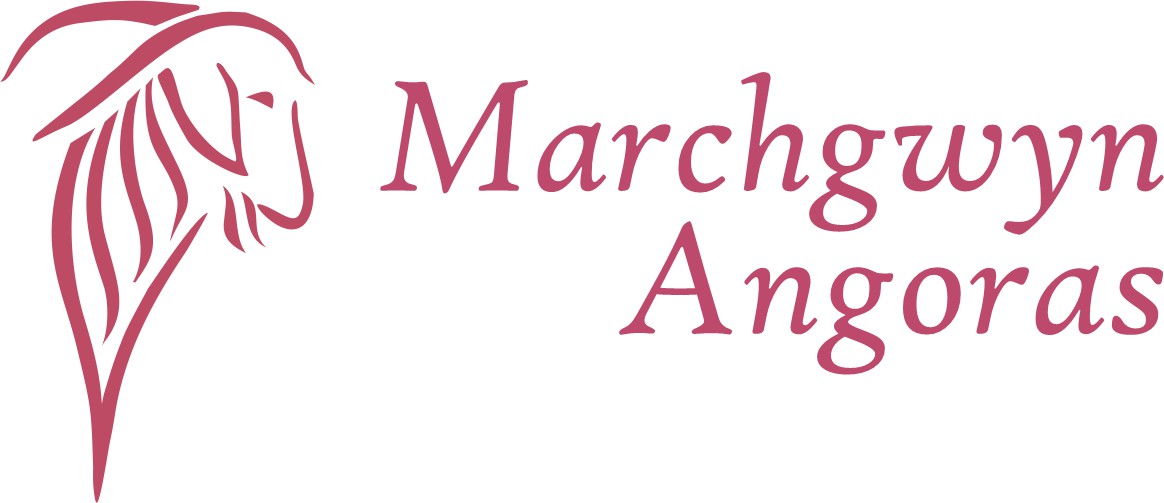 Marchgwyn Angoras